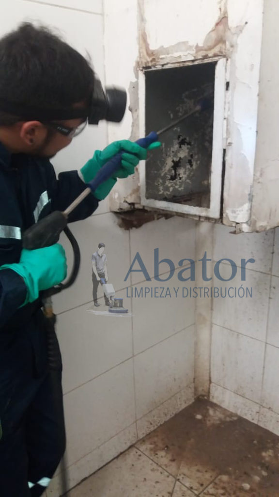 Lavado de Shaft